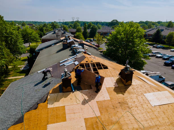 Best Flat Roof Repair Services  in Anthony, KS