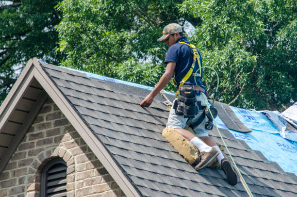 Best Roof Repair Services  in Anthony, KS